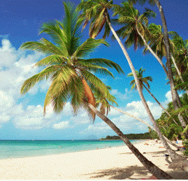 quelle est t'as destination preferer?